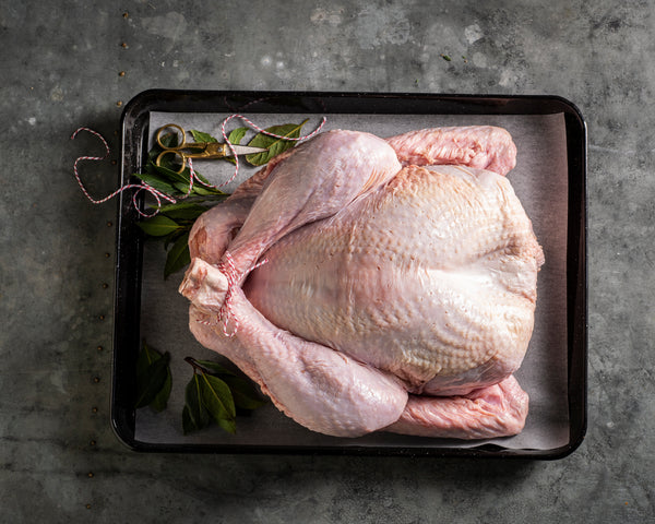 Fresh whole turkey